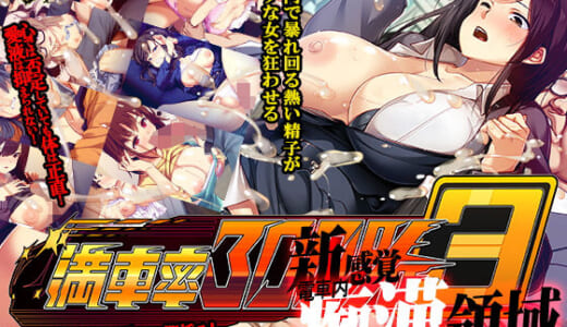 同人ゲーム:満車率300％ 3≒