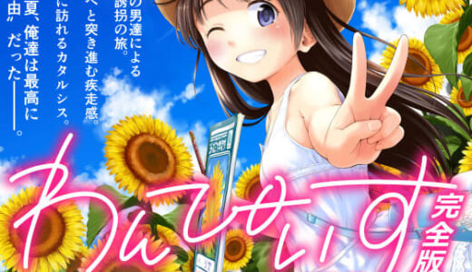 同人誌:わんぴいす完全版