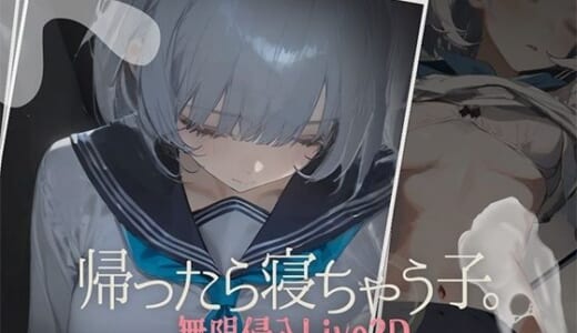 同人ゲーム:帰ったら寝ちゃう子。