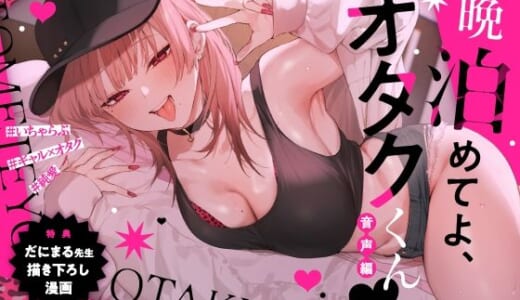 同人音声:一晩泊めてよ、オタクくん 音声編