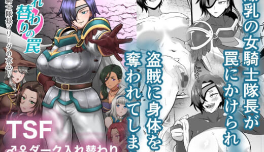 同人誌:入れ替わりの罠〜騎士隊長マリーダの求心〜