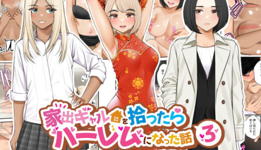 同人誌:家出ギャルを拾ったらハーレムになった話3