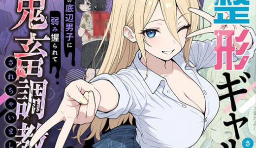 同人誌:整形ギャルさん、クラスの底辺男子に弱み握られて鬼畜調教されちゃいました