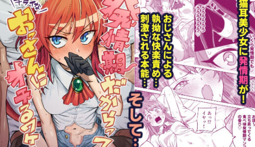 同人誌:発情期だからってキライなおっさんにオチるワケ…！