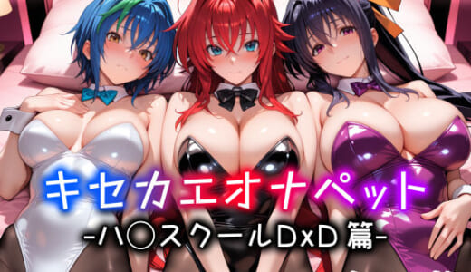 同人CG:キセカエオナペット -ハ◯スクールD×D篇-