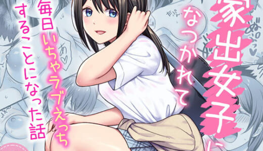 同人誌:家出女子になつかれて毎日いちゃラブえっちすることになった話