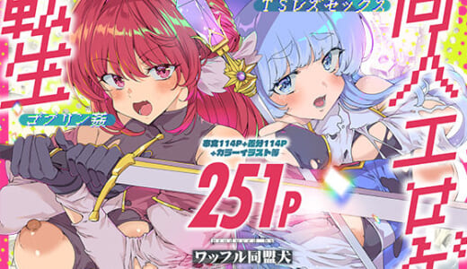 同人誌:同人エロゲ転生 目覚めたら姫騎士になっていた俺は処女クリアを目指す