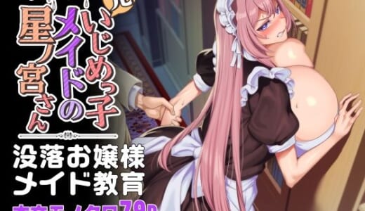 同人誌:元いじめっ子メイドの星ノ宮さん