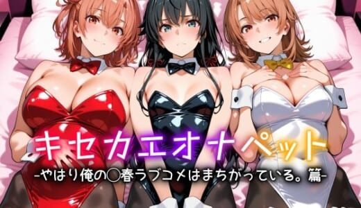 同人CG:キセカエオナペット -やはり俺の◯春ラブコメはまちがっている篇-