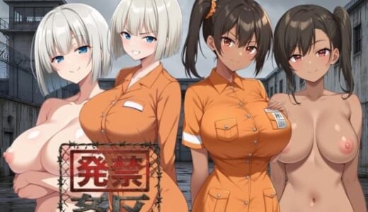 同人ゲーム:発禁姦区