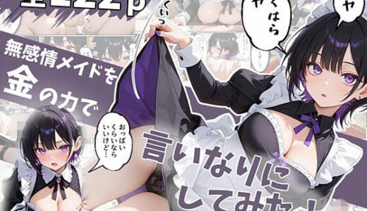 同人誌:無感情メイドを金の力で言いなりにしてみたら思ったより命令聞いてくれたから調子に乗って…