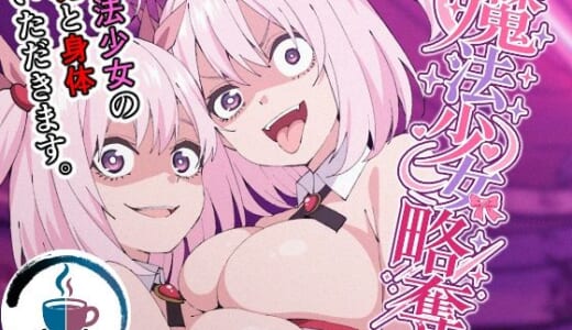 同人誌:魔法少女略奪